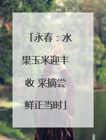 永春：水果玉米迎丰收 采摘尝鲜正当时
