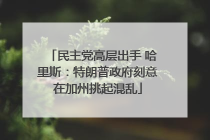 民主党高层出手 哈里斯：特朗普政府刻意在加州挑起混乱