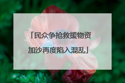 民众争抢救援物资 加沙再度陷入混乱