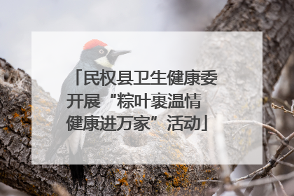 民权县卫生健康委开展“粽叶裹温情 健康进万家”活动