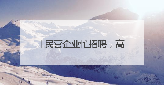 民营企业忙招聘，高技能人才很吃香——河北省个体私营企业网络招聘大会扫描