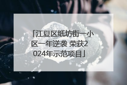 江夏区纸坊街一小区一年逆袭 荣获2024年示范项目