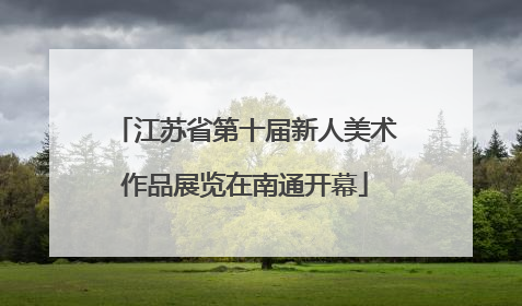 江苏省第十届新人美术作品展览在南通开幕