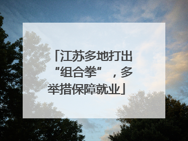 江苏多地打出“组合拳”，多举措保障就业