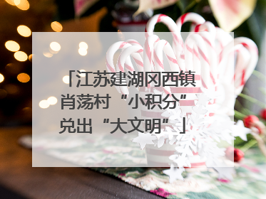江苏建湖冈西镇肖荡村“小积分”兑出“大文明”