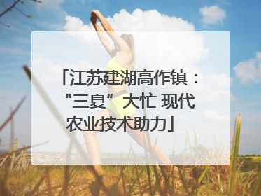 江苏建湖高作镇：“三夏”大忙 现代农业技术助力