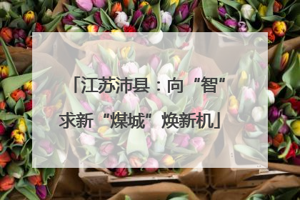 江苏沛县：向“智”求新“煤城”焕新机