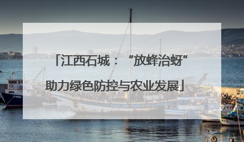 江西石城：“放蜂治蚜”助力绿色防控与农业发展