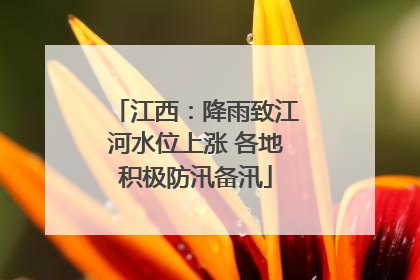 江西：降雨致江河水位上涨 各地积极防汛备汛