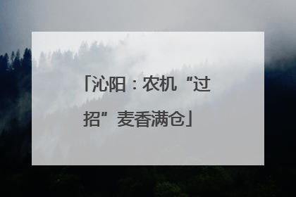 沁阳：农机“过招”麦香满仓
