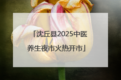 沈丘县2025中医养生夜市火热开市
