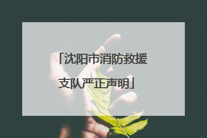 沈阳市消防救援支队严正声明