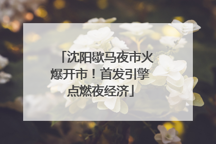 沈阳歇马夜市火爆开市！首发引擎点燃夜经济