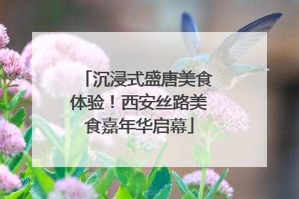 沉浸式盛唐美食体验！西安丝路美食嘉年华启幕