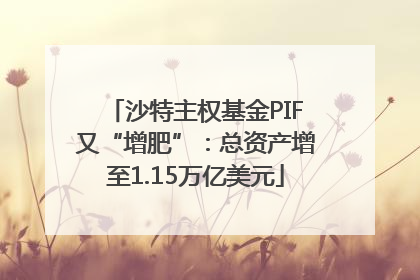 沙特主权基金PIF又“增肥”：总资产增至1.15万亿美元