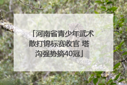 河南省青少年武术散打锦标赛收官 塔沟强势摘40冠
