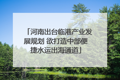 河南出台临港产业发展规划 欲打造中部便捷水运出海通道