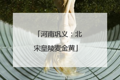 河南巩义：北宋皇陵麦金黄