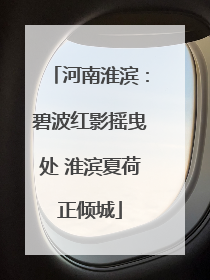 河南淮滨：碧波红影摇曳处 淮滨夏荷正倾城