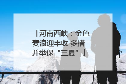 河南西峡：金色麦浪迎丰收 多措并举保“三夏”