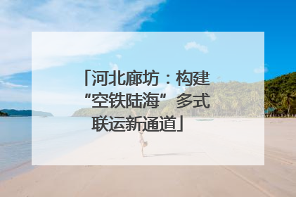 河北廊坊：构建“空铁陆海”多式联运新通道