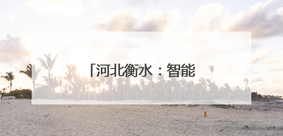 河北衡水：智能收储 颗粒归仓