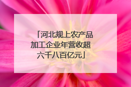 河北规上农产品加工企业年营收超六千八百亿元