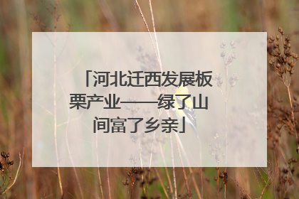 河北迁西发展板栗产业——绿了山间富了乡亲