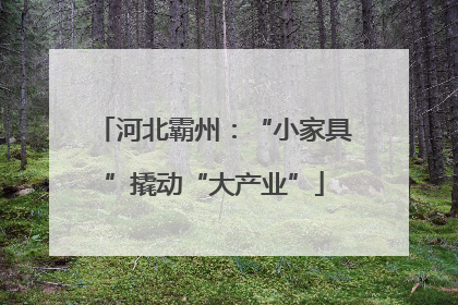 河北霸州：“小家具”撬动“大产业”