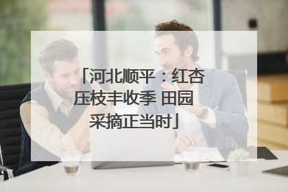 河北顺平：红杏压枝丰收季 田园采摘正当时