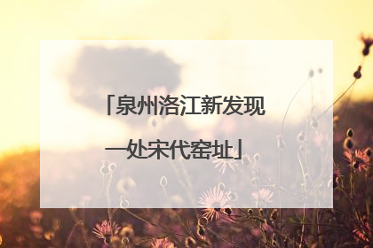 泉州洛江新发现一处宋代窑址