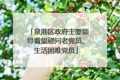泉港区政府主要领导看望慰问老党员、生活困难党员