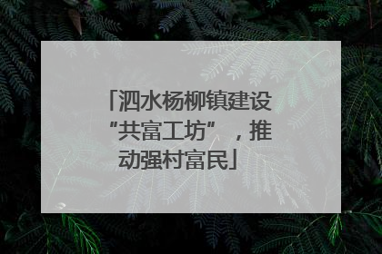 泗水杨柳镇建设“共富工坊”，推动强村富民