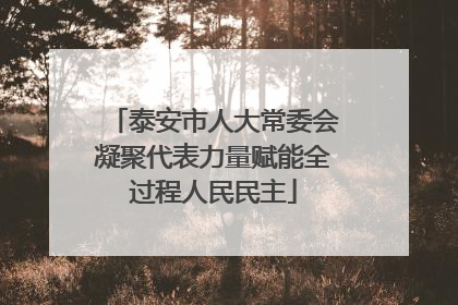 泰安市人大常委会凝聚代表力量赋能全过程人民民主