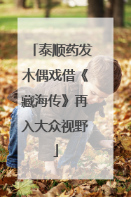 泰顺药发木偶戏借《藏海传》再入大众视野