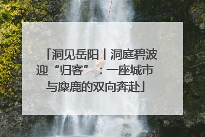 洞见岳阳丨洞庭碧波迎“归客”：一座城市与麋鹿的双向奔赴