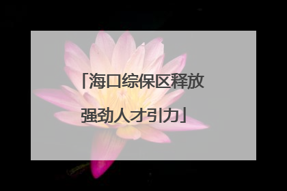 海口综保区释放强劲人才引力