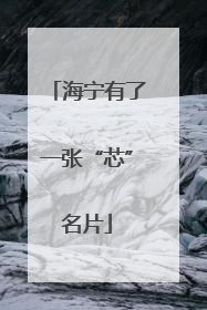 海宁有了一张“芯”名片