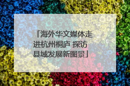 海外华文媒体走进杭州桐庐 探访县域发展新图景