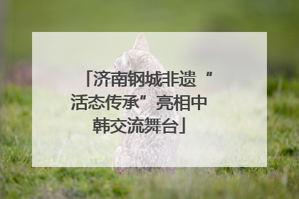 济南钢城非遗“活态传承”亮相中韩交流舞台