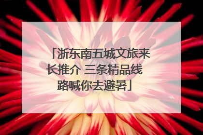 浙东南五城文旅来长推介 三条精品线路喊你去避暑