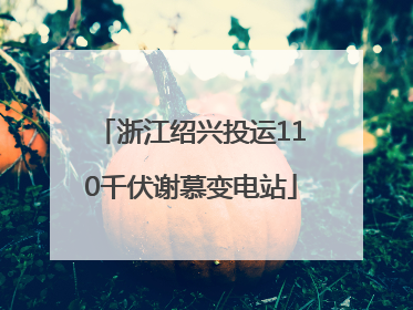 浙江绍兴投运110千伏谢慕变电站