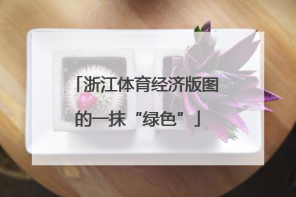 浙江体育经济版图的一抹“绿色”