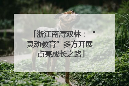 浙江南浔双林：“灵动教育”多方开展 点亮成长之路
