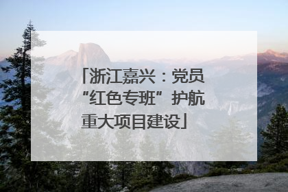 浙江嘉兴：党员“红色专班”护航重大项目建设
