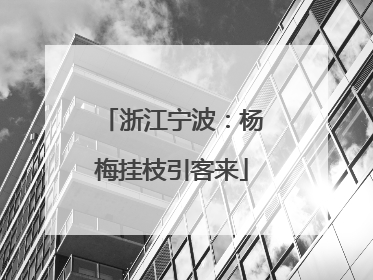 浙江宁波：杨梅挂枝引客来