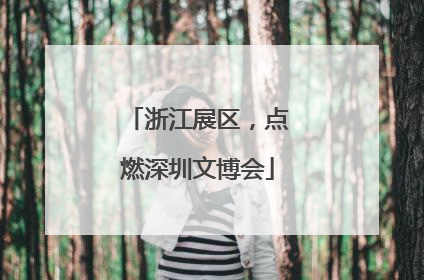 浙江展区，点燃深圳文博会