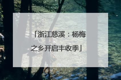 浙江慈溪：杨梅之乡开启丰收季