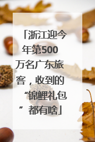 浙江迎今年第500万名广东旅客，收到的“锦鲤礼包”都有啥