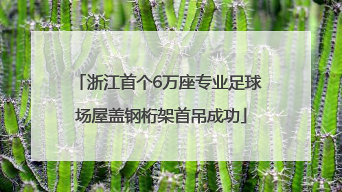 浙江首个6万座专业足球场屋盖钢桁架首吊成功